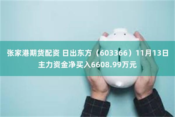 张家港期货配资 日出东方（603366）11月13日主力资金净买入6608.99万元