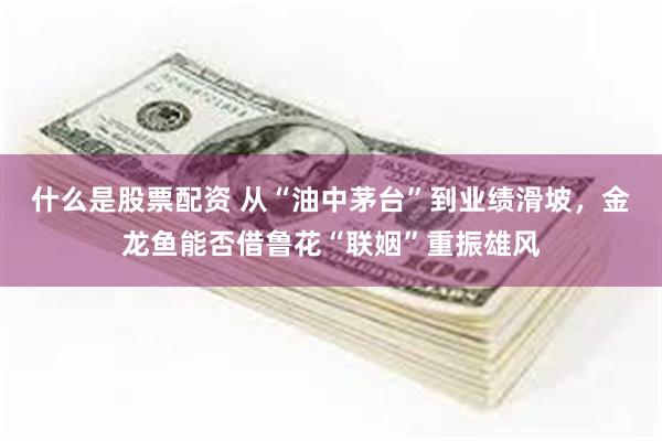 什么是股票配资 从“油中茅台”到业绩滑坡，金龙鱼能否借鲁花“联姻”重振雄风