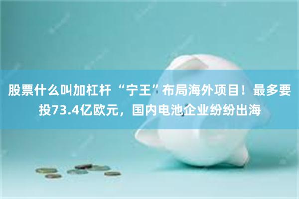 股票什么叫加杠杆 “宁王”布局海外项目！最多要投73.4亿欧元，国内电池企业纷纷出海