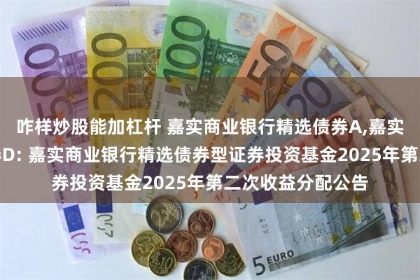 咋样炒股能加杠杆 嘉实商业银行精选债券A,嘉实商业银行精选债券D: 嘉实商业银行精选债券型证券投资基金2025年第二次收益分配公告